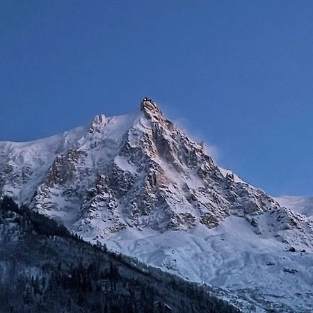 Champaign Powder Apartment Chamonix Exterior foto
